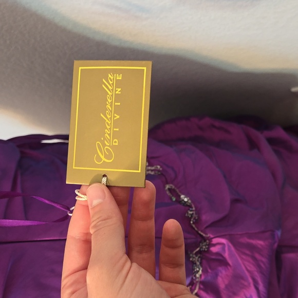 Cinderella Divine Size 18 Ball Gown - Picture 4 of 11